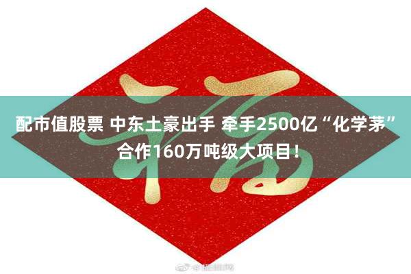 配市值股票 中东土豪出手 牵手2500亿“化学茅” 合作160万吨级大项目！