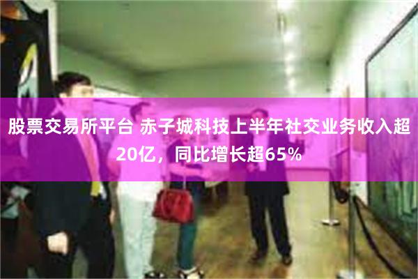 股票交易所平台 赤子城科技上半年社交业务收入超20亿，同比增长超65%