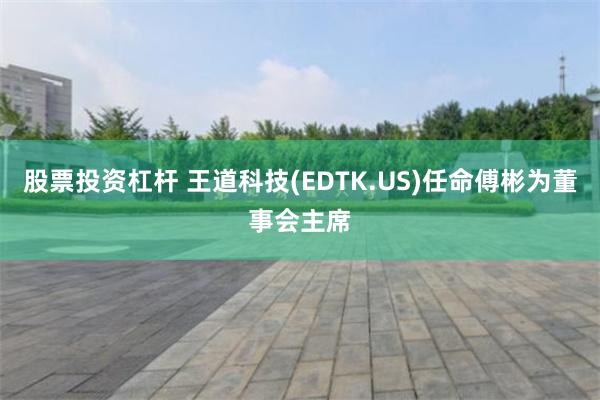 股票投资杠杆 王道科技(EDTK.US)任命傅彬为董事会主席