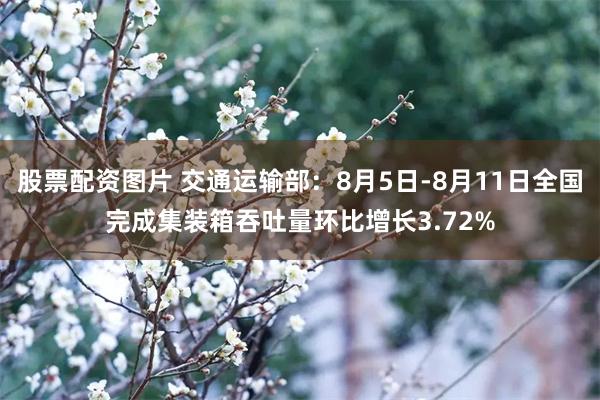 股票配资图片 交通运输部：8月5日-8月11日全国完成集装箱吞吐量环比增长3.72%