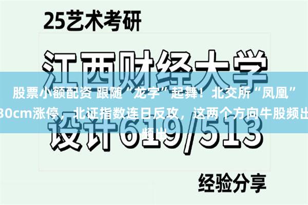 股票小额配资 跟随“龙字”起舞！北交所“凤凰”30cm涨停，北证指数连日反攻，这两个方向牛股频出