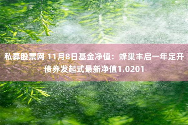 私募股票网 11月8日基金净值：蜂巢丰启一年定开债券发起式最新净值1.0201