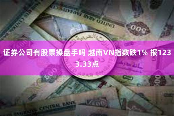 证券公司有股票操盘手吗 越南VN指数跌1% 报1233.33点