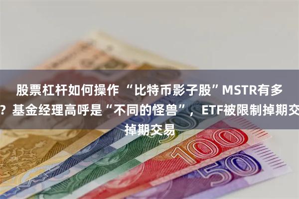 股票杠杆如何操作 “比特币影子股”MSTR有多火？基金经理高呼是“不同的怪兽”，ETF被限制掉期交易