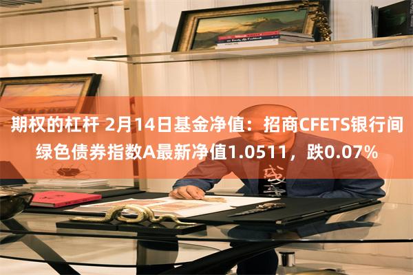 期权的杠杆 2月14日基金净值：招商CFETS银行间绿色债券指数A最新净值1.0511，跌0.07%